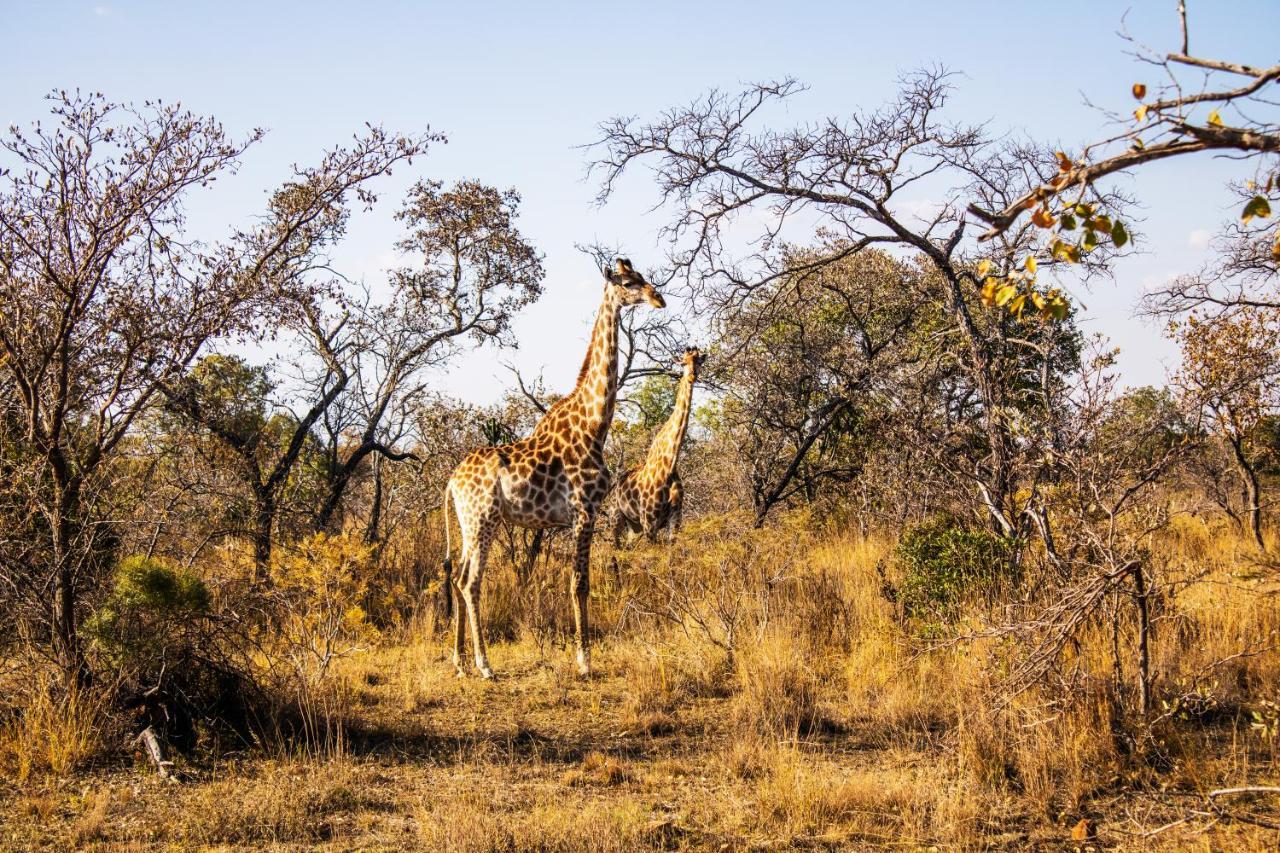 Fumani Game Lodge Modimolle Exteriér fotografie